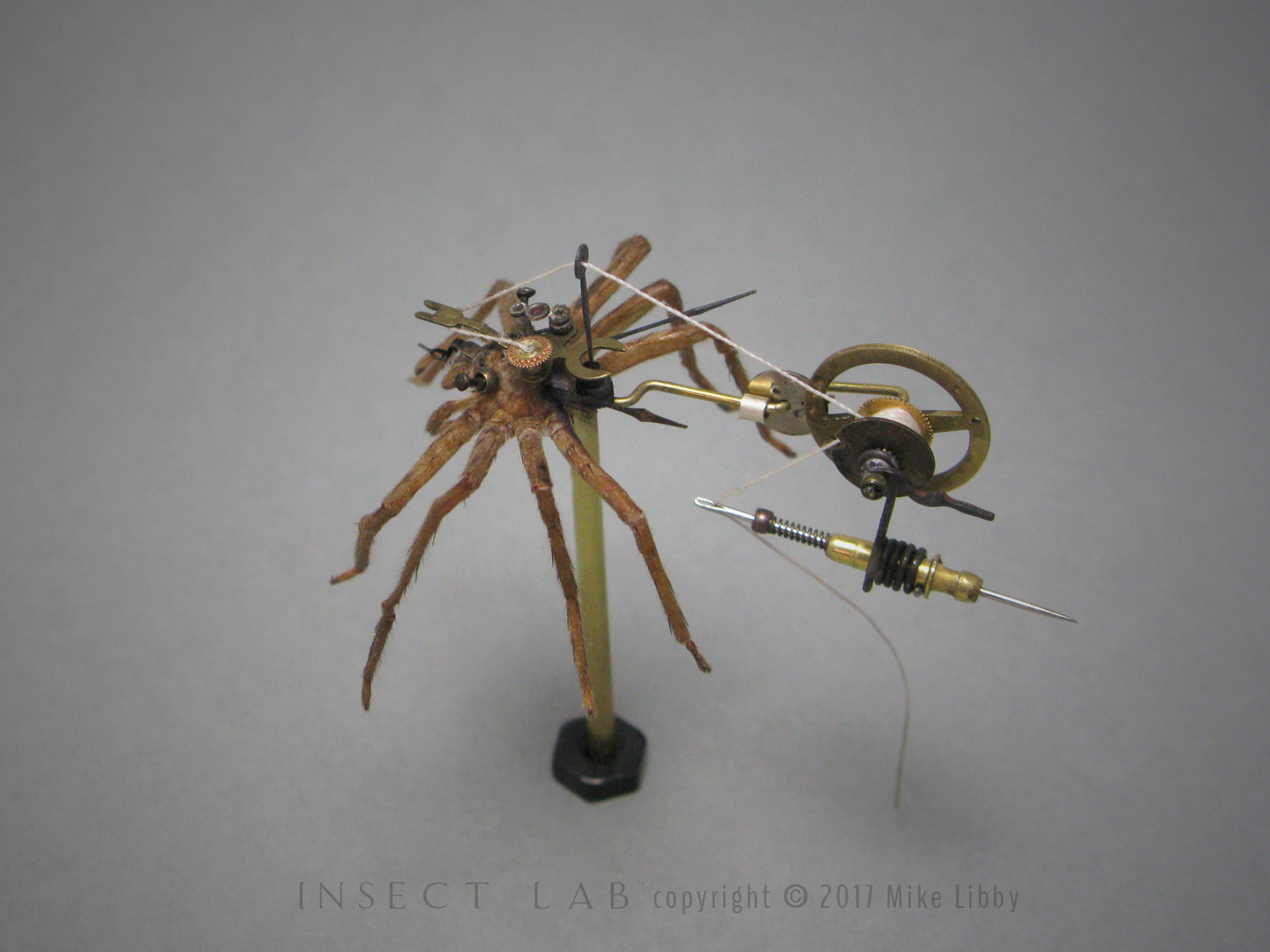 Steampunk Metal Wolf Spider Model